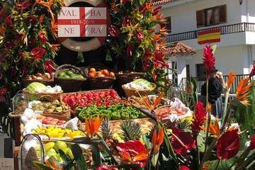 Romería ofrenda a la Virgen del Pino (Foto TA y Antonio Alí)